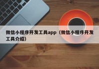 微信小程序开发工具app（微信小程序开发工具介绍）