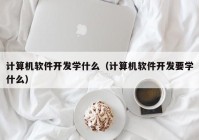 计算机软件开发学什么（计算机软件开发要学什么）