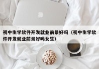 初中生学软件开发就业前景好吗（初中生学软件开发就业前景好吗女生）