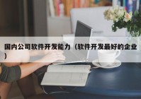 国内公司软件开发能力（软件开发最好的企业）