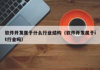 软件开发属于什么行业结构（软件开发属于it行业吗）