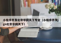 小程序开发北京华网天下专业（小程序开发jgn北京华网天下）