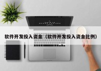 软件开发投入资金（软件开发投入资金比例）