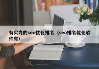 有实力的seo优化排名（seo排名优化软件有）