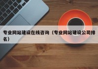 专业网站建设在线咨询（专业网站建设公司排名）