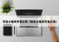 可信小程序开发公司（知名小程序开发公司）