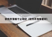 软件开发哪个公司好（软件开发哪里好）