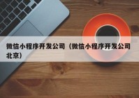 微信小程序开发公司（微信小程序开发公司 北京）