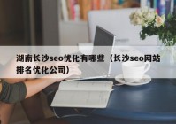 湖南长沙seo优化有哪些（长沙seo网站排名优化公司）