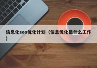 信息化seo优化计划（信息优化是什么工作）