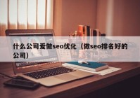 什么公司爱做seo优化（做seo排名好的公司）