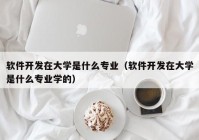 软件开发在大学是什么专业（软件开发在大学是什么专业学的）