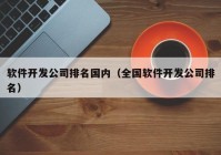 软件开发公司排名国内（全国软件开发公司排名）