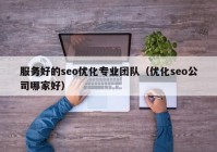 服务好的seo优化专业团队（优化seo公司哪家好）