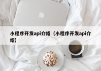 小程序开发api介绍（小程序开发api介绍）