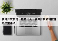 软件开发公司一般做什么（软件开发公司做什么严重违法）