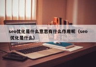 seo优化是什么意思有什么作用呢（seo 优化是什么）