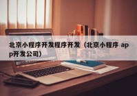 北京小程序开发程序开发（北京小程序 app开发公司）