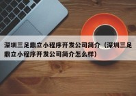 深圳三足鼎立小程序开发公司简介（深圳三足鼎立小程序开发公司简介怎么样）