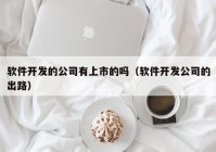 软件开发的公司有上市的吗（软件开发公司的出路）