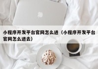 小程序开发平台官网怎么进（小程序开发平台官网怎么进去）