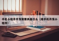 手机小程序开发需要具备什么（用手机开发小程序）