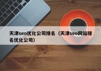 天津seo优化公司排名（天津seo网站排名优化公司）