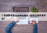 厂家软件开发企业网站建设（软件公司开发平台）