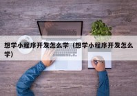 想学小程序开发怎么学（想学小程序开发怎么学）