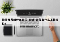 软件开发叫什么职位（软件开发有什么工作岗位）