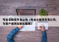 专业小程序开发公司（专业小程序开发公司,为客户提供定制化服务）