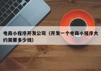 电商小程序开发公司（开发一个电商小程序大约需要多少钱）