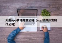 大型app软件开发公司（app软件开发制作公司）