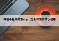 微信小程序开发app（怎么开发微信小程序）