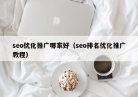 seo优化推广哪家好（seo排名优化推广教程）