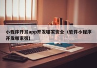 小程序开发app开发哪家安全（软件小程序开发哪家强）