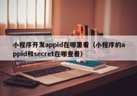 小程序开发appid在哪里看（小程序的appid和secret在哪查看）