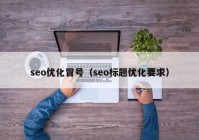 seo优化冒号（seo标题优化要求）