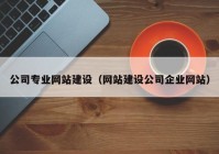 公司专业网站建设（网站建设公司企业网站）