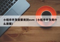 小程序开发需要用到ssm（小程序开发用什么需要）