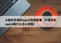 小程序开发的appid在哪里看（小程序的appid是什么怎么获取）