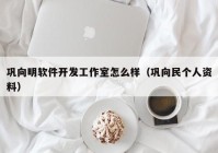 巩向明软件开发工作室怎么样（巩向民个人资料）